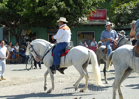 Rodeo in Cobano