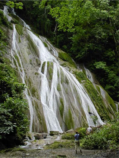 Waterfall in the Karen Mogensen Reserve