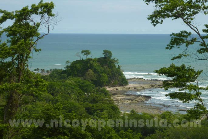 Canopy View to the Mal Pais coastline