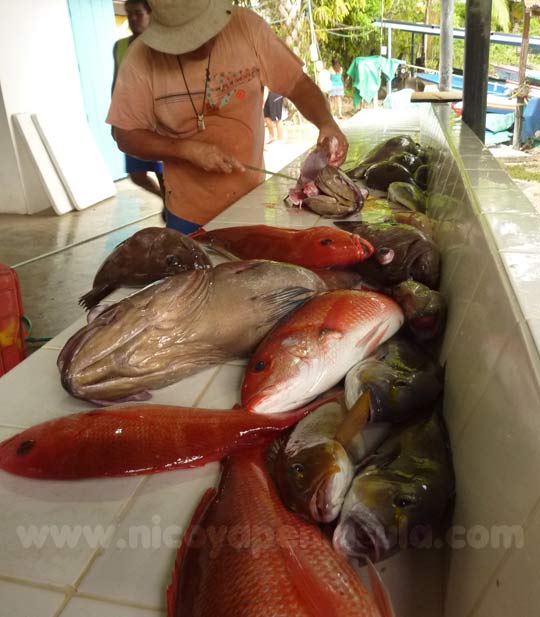 At the small fishermen port of Mal Pais you can buy fresh fish