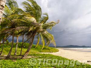 Playa Grande Costa Rica